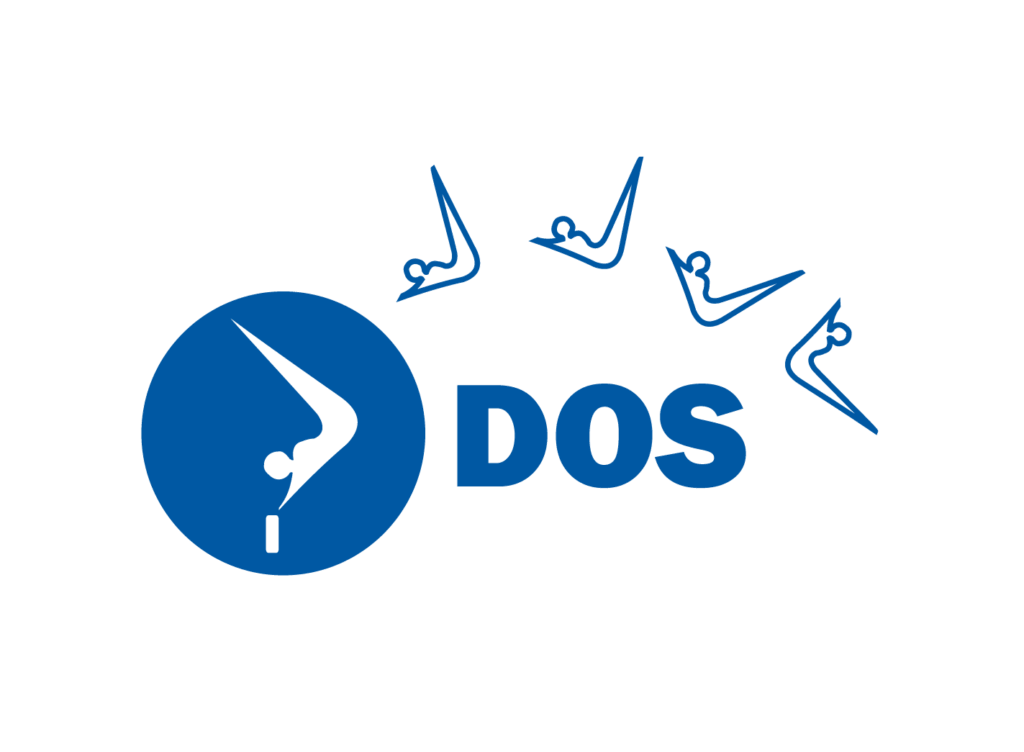 DOS icon